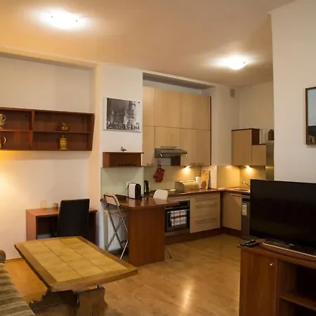 Kompleksowo Wyposazony W Centrum Apartmán *